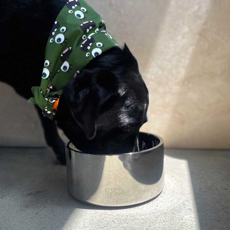 frank green Pet Bandana Small Khaki Print image number 1